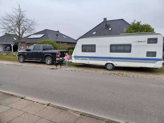 Alles rund um den Schäferhund, diskutieren erwünscht.-Beitrag-Bild