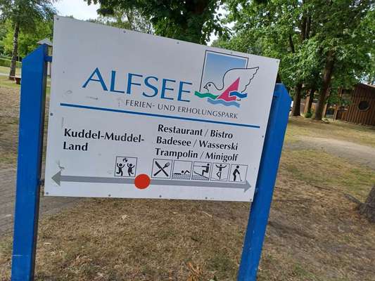 Alles rund um den Schäferhund, diskutieren erwünscht.-Beitrag-Bild