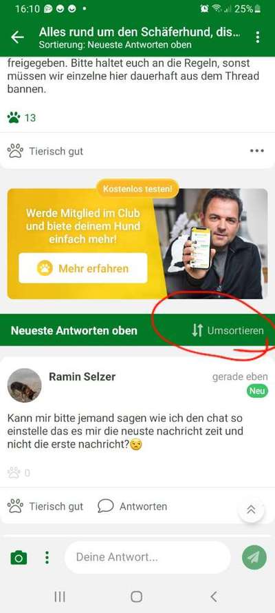 Alles rund um den Schäferhund, diskutieren erwünscht.-Beitrag-Bild