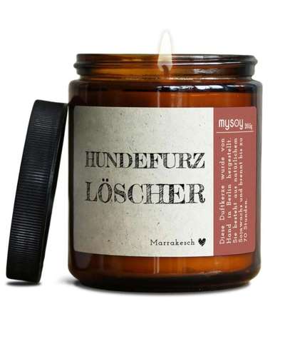 Hunde Memes-Beitrag-Bild