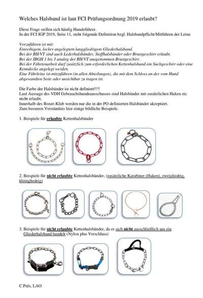 Hundeangriff, groß gegen klein-Beitrag-Bild