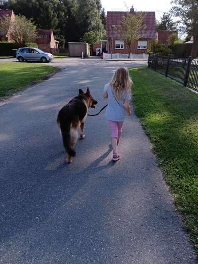 Hunde und Kinder-Beitrag-Bild