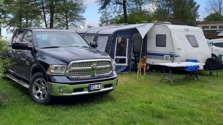 Hunde im Urlaub-Beitrag-Bild