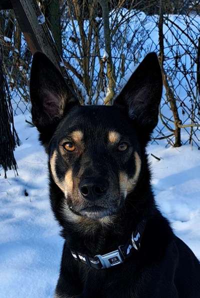 Ist das ein...?-Beitrag-Bild