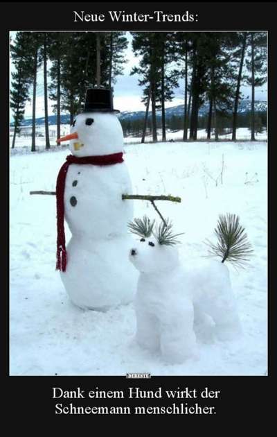 Hunde Memes-Beitrag-Bild