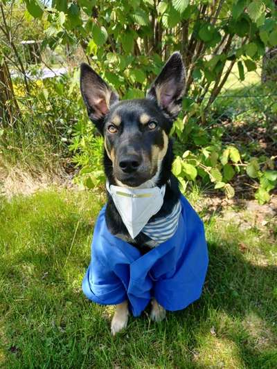 Fotochallenge 81-Beitrag-Bild