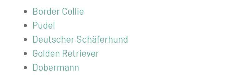 Alles rund um den Schäferhund, diskutieren erwünscht.-Beitrag-Bild