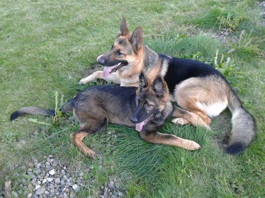 Challenge 30  Freundschaft-Beitrag-Bild