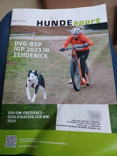 Hunde-Zeitschriften-Beitrag-Bild