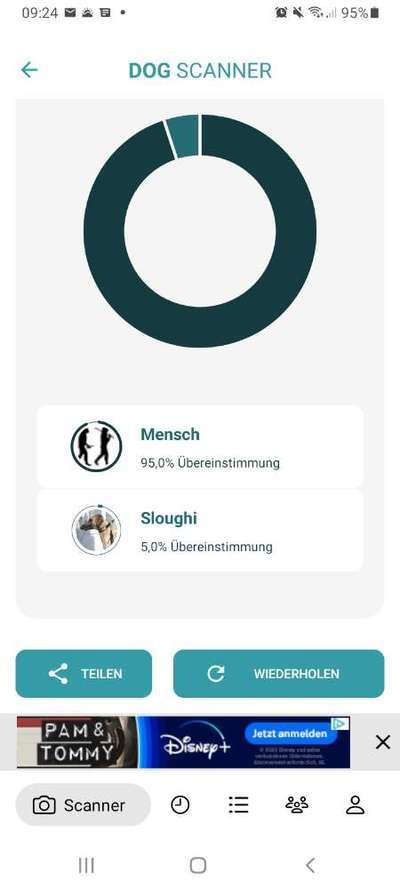 Hunderasse gesucht-Beitrag-Bild