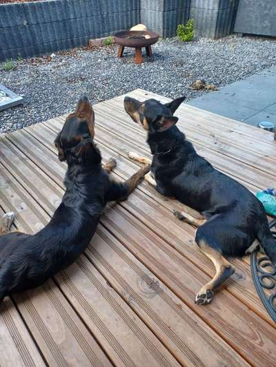 Erzählt eure Erfolgsstorys!-Beitrag-Bild