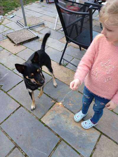 34. Farben-Challenge: Punkte - Punkte - Pünktchen-Beitrag-Bild