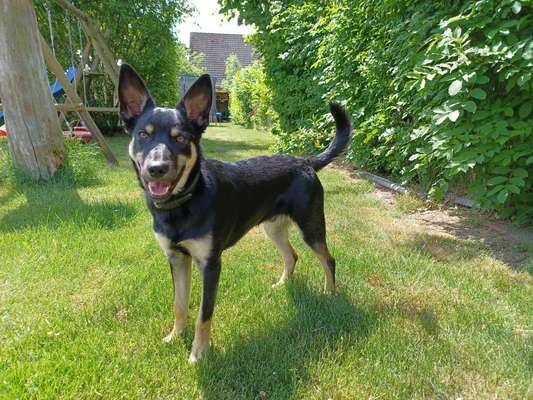 Der Gewichts-Thread-Beitrag-Bild