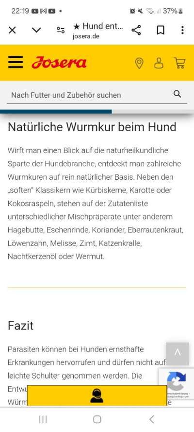 Wird zu selten entwurmt? Wurmbefall bei Hunden in Deutschland-Beitrag-Bild