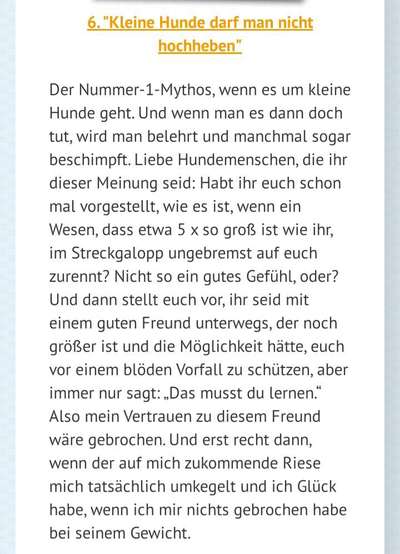 Wie geht man mit Menschen um, die sich in die Erziehung einmischen?-Beitrag-Bild