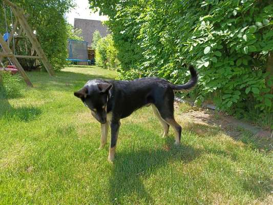 Der Gewichts-Thread-Beitrag-Bild