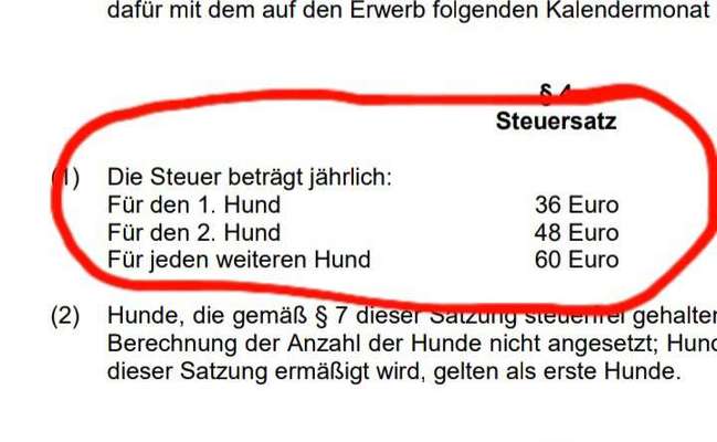 Hundeangriff in Griechenland - wie verhindern, vorbeugen?-Beitrag-Bild