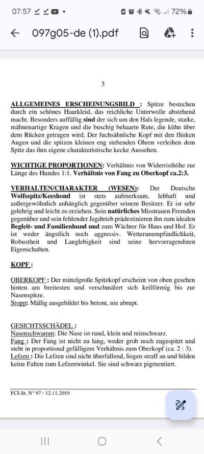 Bauchgefühl bei der Hundewahl?-Beitrag-Bild