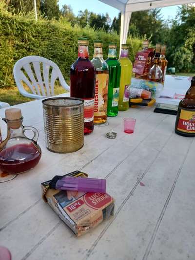 Alles rund um den Schäferhund, diskutieren erwünscht.-Beitrag-Bild