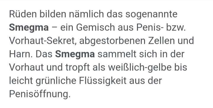 Schattenseiten der Hundehaltung-Beitrag-Bild