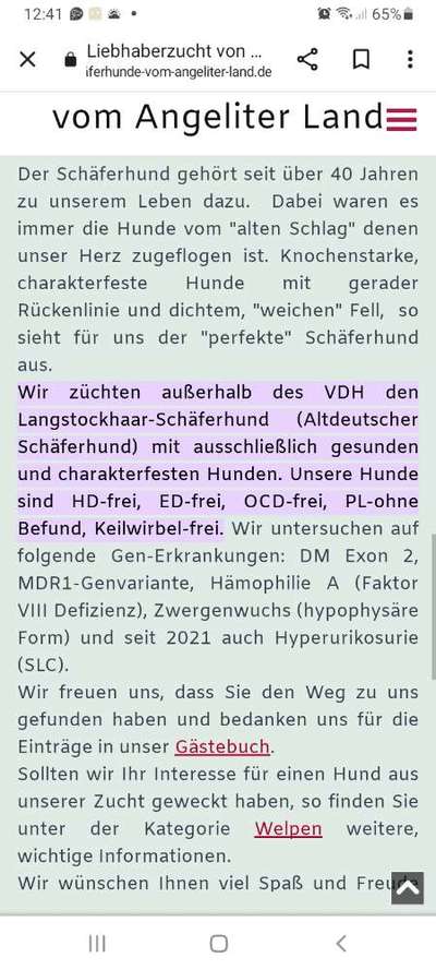 Alles rund um den Schäferhund, diskutieren erwünscht.-Beitrag-Bild