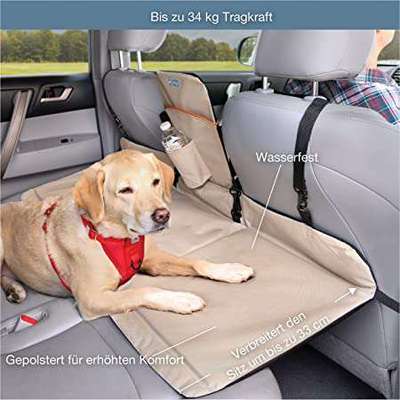 Alles rund um den Schäferhund, diskutieren erwünscht.-Beitrag-Bild