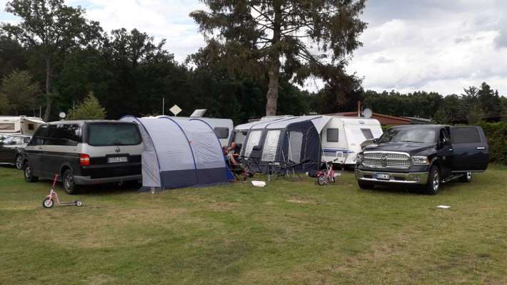 Camping mit Welpen-Beitrag-Bild