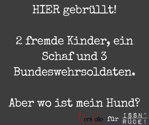 Hunde Memes-Beitrag-Bild