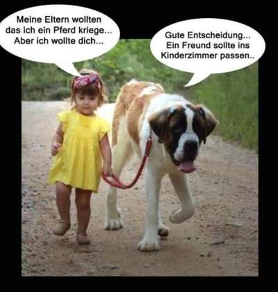 Hunde Memes-Beitrag-Bild