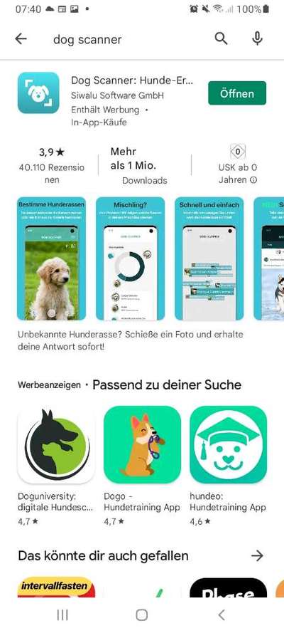 Hunderasse gesucht-Beitrag-Bild