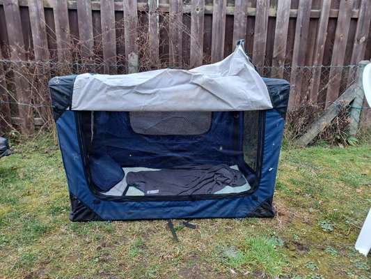 Alles rund um den Schäferhund, diskutieren erwünscht.-Beitrag-Bild