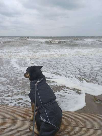 Anpassen bei Minusgraden-Beitrag-Bild