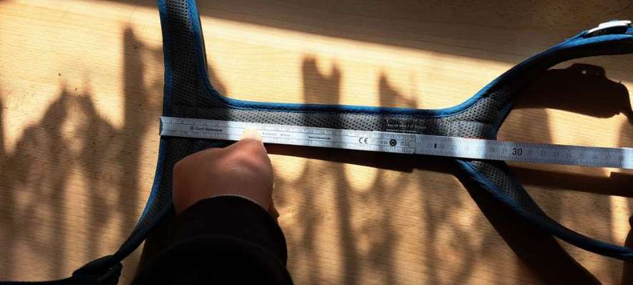 Wie sitzt mein Geschirr?-Beitrag-Bild