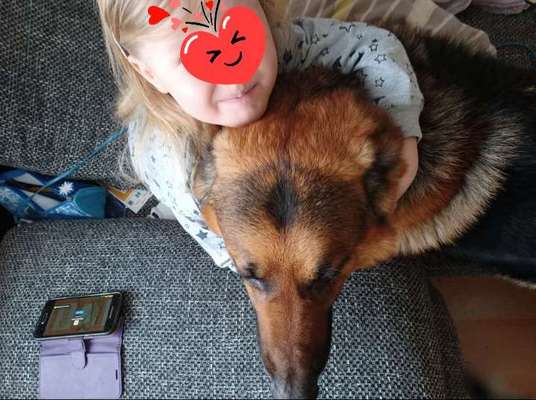 Universal Allzweck Sündenbock Schäferhund-Beitrag-Bild