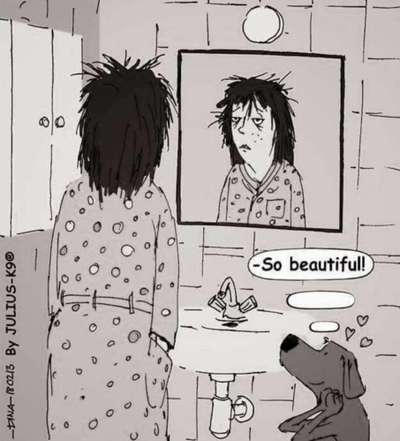 Hunde Memes-Beitrag-Bild