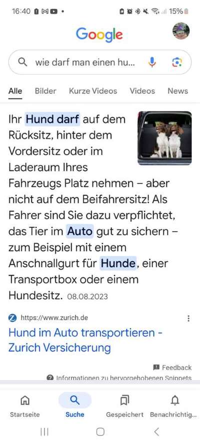 Welches Auto mit welchem Hund-Beitrag-Bild