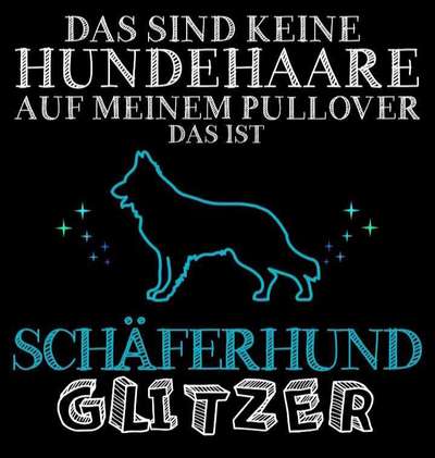 Alles rund um den Schäferhund, diskutieren erwünscht.-Beitrag-Bild