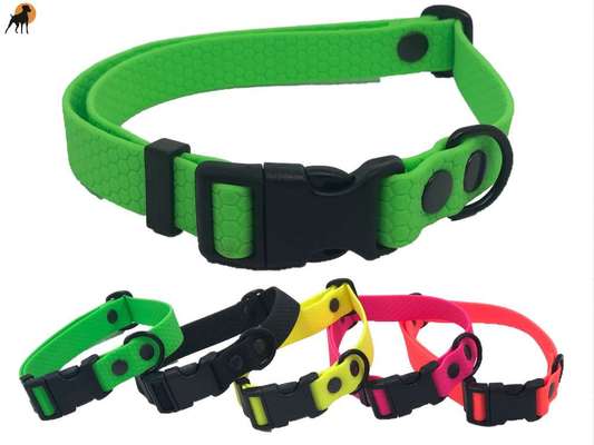 JRT Glatthaar Halsband Scheuerstellen-Beitrag-Bild