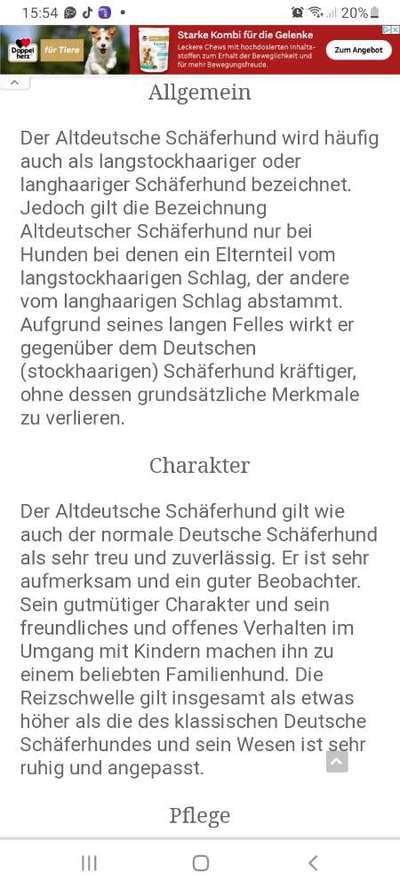 Alles rund um den Schäferhund, diskutieren erwünscht.-Beitrag-Bild