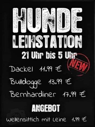 Neuer Corona Trend: Hundekauf/Verleih?!-Beitrag-Bild