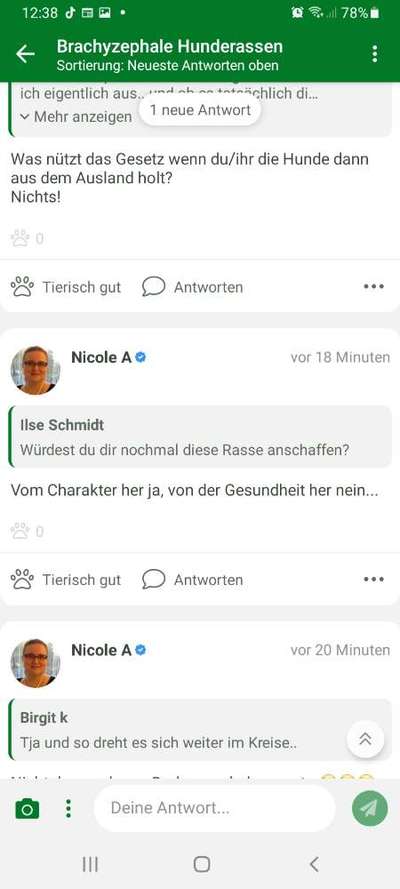 Brachycephale Hunderassen-Beitrag-Bild