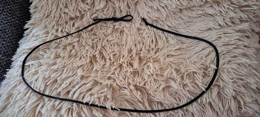 Hundeangriff, groß gegen klein-Beitrag-Bild