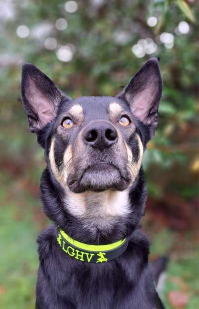 Brut und Setzzeit-Beitrag-Bild