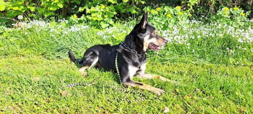 Brut und Setzzeit-Beitrag-Bild