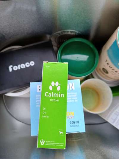 Alles rund um den Schäferhund, diskutieren erwünscht.-Beitrag-Bild