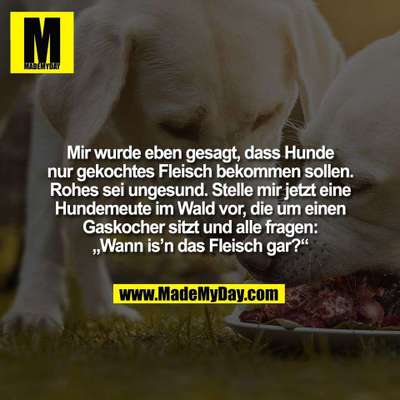 Hunde Memes-Beitrag-Bild