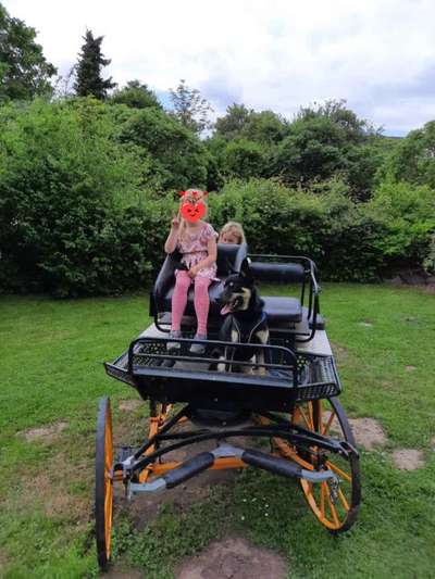 Fotochallenge 87: Im Park-Beitrag-Bild