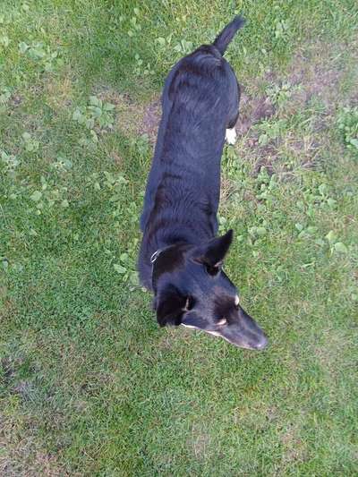 Der Gewichts-Thread-Beitrag-Bild