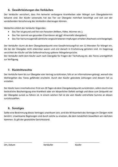 Überbiss beim Welpe-Beitrag-Bild