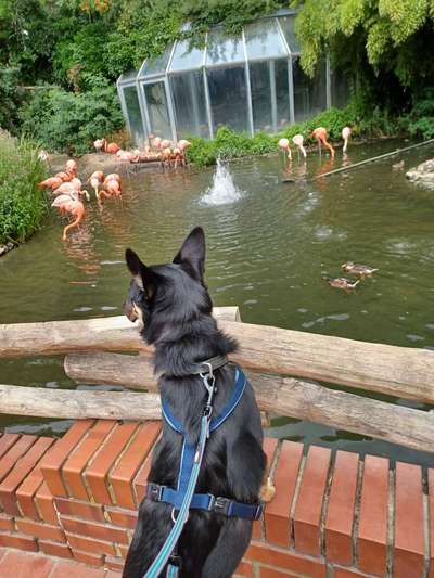 Theos Fotochallange Nummer 4-Beitrag-Bild